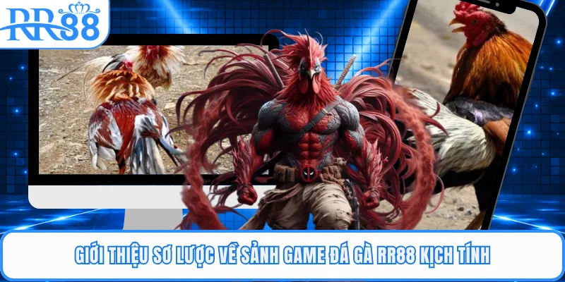 Giới thiệu sơ lược về sảnh game đá gà RR88 kịch tính