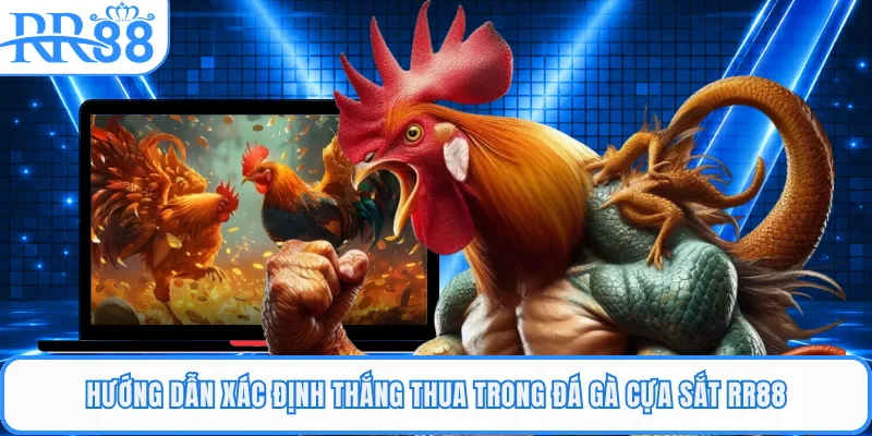 Hướng dẫn xác định thắng thua trong đá gà cựa sắt RR88