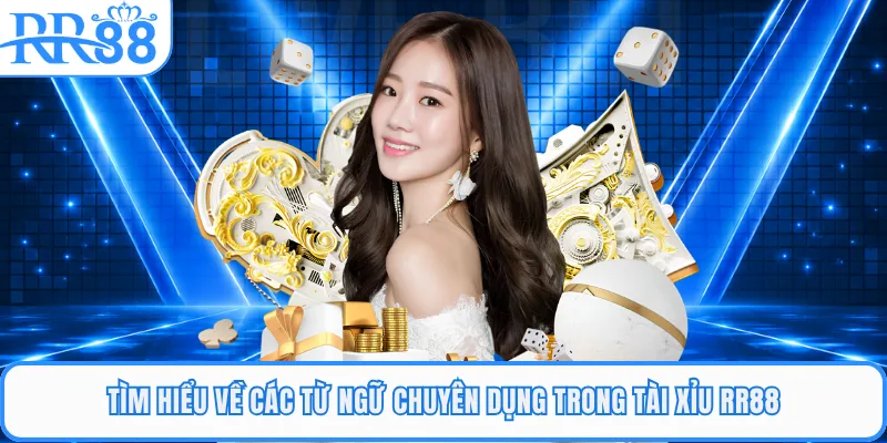 Tìm hiểu về các từ ngữ chuyên dụng trong tài xỉu RR88