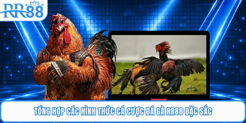 Tổng hợp các hình thức cá cược đá gà RR88 đặc sắc